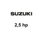 Suzuki 2,5 hp