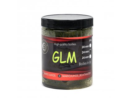 B GLM 24 2