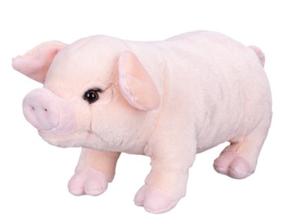 33587 plysove domaci prase 25 cm mikro trading