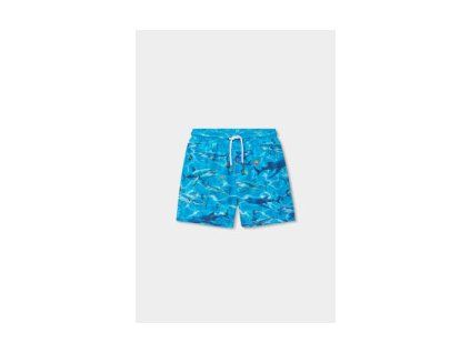 swimsuit for boy