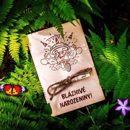 narozeniny 1 les