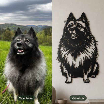 05 predpo keeshond 2