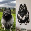 05 predpo keeshond 2