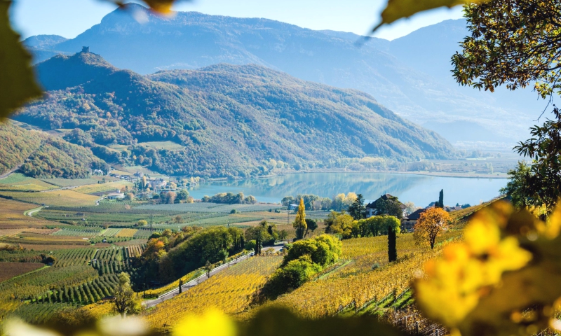 Kam jinam za nejlepšími tramíny, než do Traminu