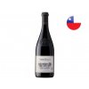 Cabernet Sauvignon Gran Reserva, Viňa Tarapacá