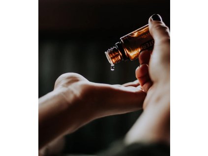 11062b 83da14b1069e4049a63c4d4c610f35e3~mv2.jpg kopie