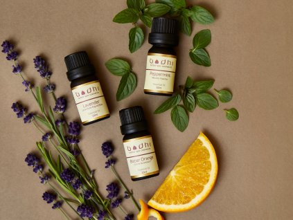 341539923 1014573389564508 2335681492637843518 n