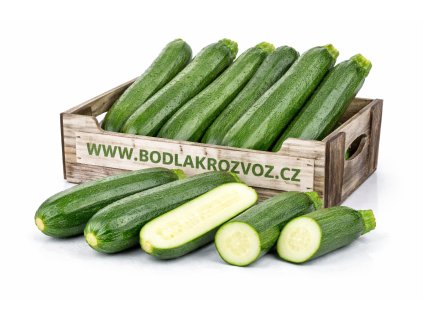 ChatGPT Image 11. 2. 2026 14 43 32