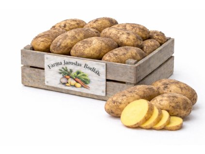 ChatGPT Image 12. 2. 2026 13 21 53