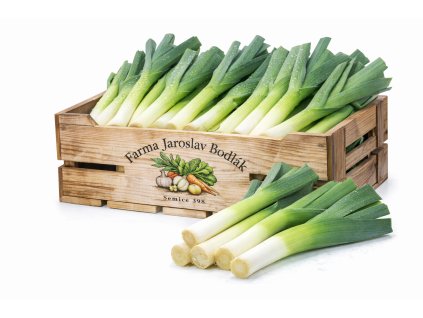 ChatGPT Image 11. 2. 2026 15 11 03