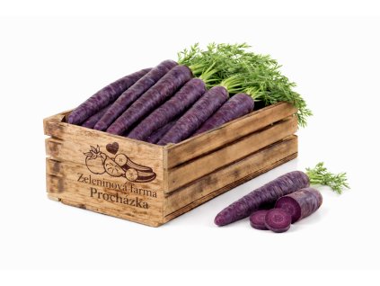 ChatGPT Image 3. 3. 2026 17 55 43