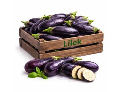 ChatGPT Image 1. 3. 2026 15 28 43