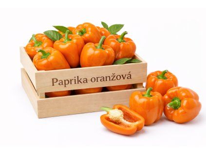 ChatGPT Image 26. 2. 2026 19 49 28