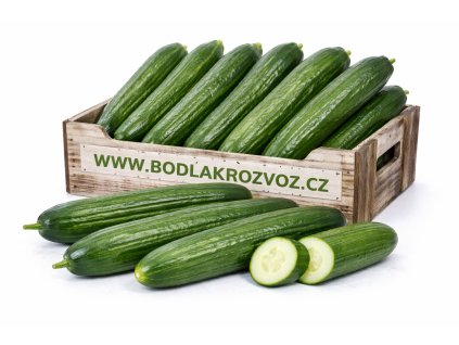 ChatGPT Image 11. 2. 2026 14 45 29