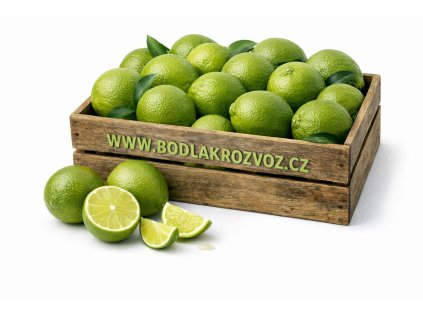 ChatGPT Image 11. 2. 2026 18 53 26