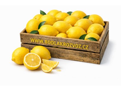 ChatGPT Image 11. 2. 2026 18 56 31