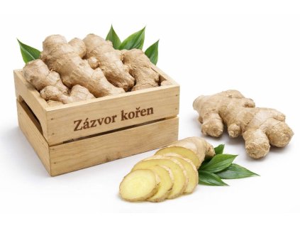 ChatGPT Image 12. 2. 2026 13 12 00