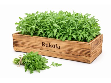 ChatGPT Image 11. 2. 2026 14 15 42