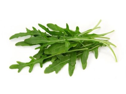 rukola