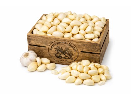 ChatGPT Image 11. 2. 2026 18 42 47