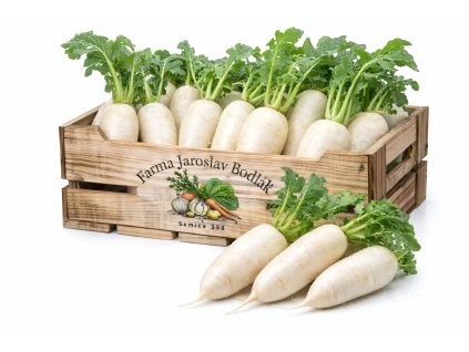 ChatGPT Image 11. 2. 2026 15 02 28