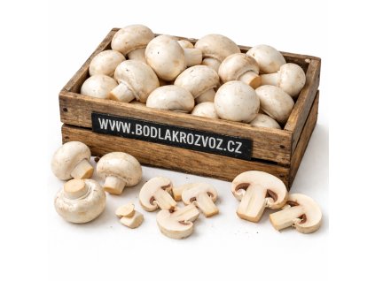 ChatGPT Image 12. 2. 2026 14 16 38