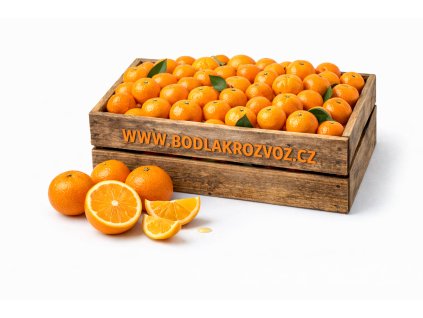 ChatGPT Image 11. 2. 2026 19 00 50