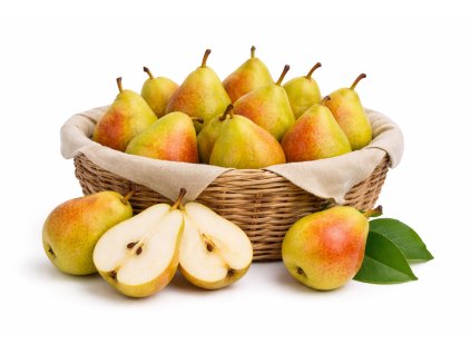 ChatGPT Image 25. 2. 2026 19 20 02