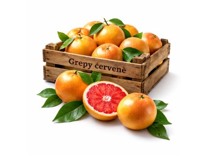 ChatGPT Image 26. 2. 2026 19 43 21