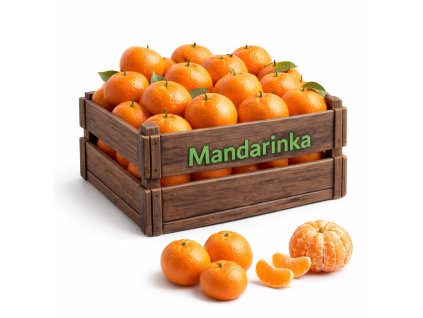 ChatGPT Image 1. 3. 2026 15 18 15