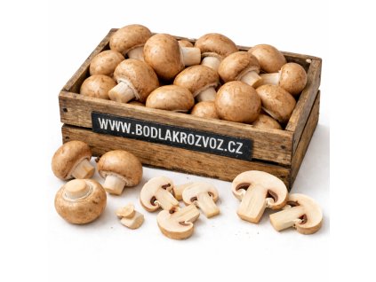 ChatGPT Image 2. 3. 2026 13 42 57