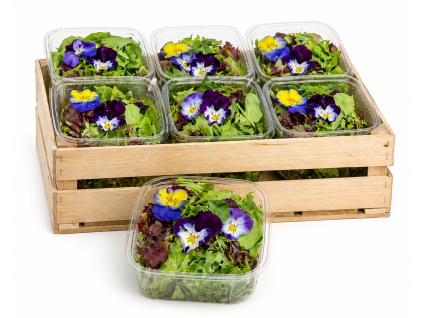 E3695292 3DDB 4AB1 9432 8D4BFB8BC9EB