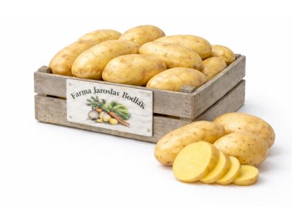 ChatGPT Image 12. 2. 2026 13 20 23