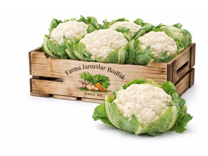 ChatGPT Image 11. 2. 2026 15 05 10