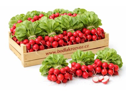 ChatGPT Image 12. 2. 2026 14 12 20