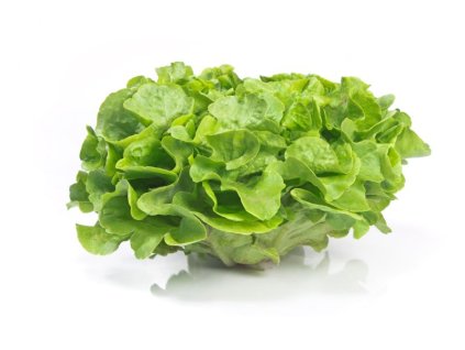 22000050 456 salát dubový světlý ks