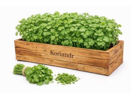 ChatGPT Image 26. 2. 2026 20 03 31