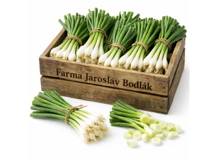 ChatGPT Image 11. 2. 2026 18 11 37