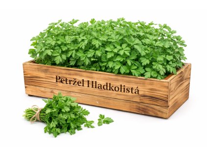 ChatGPT Image 11. 2. 2026 14 11 55