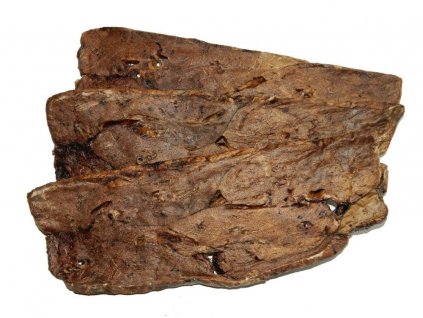 12238055 1722721467961228 3552937658528618363 o