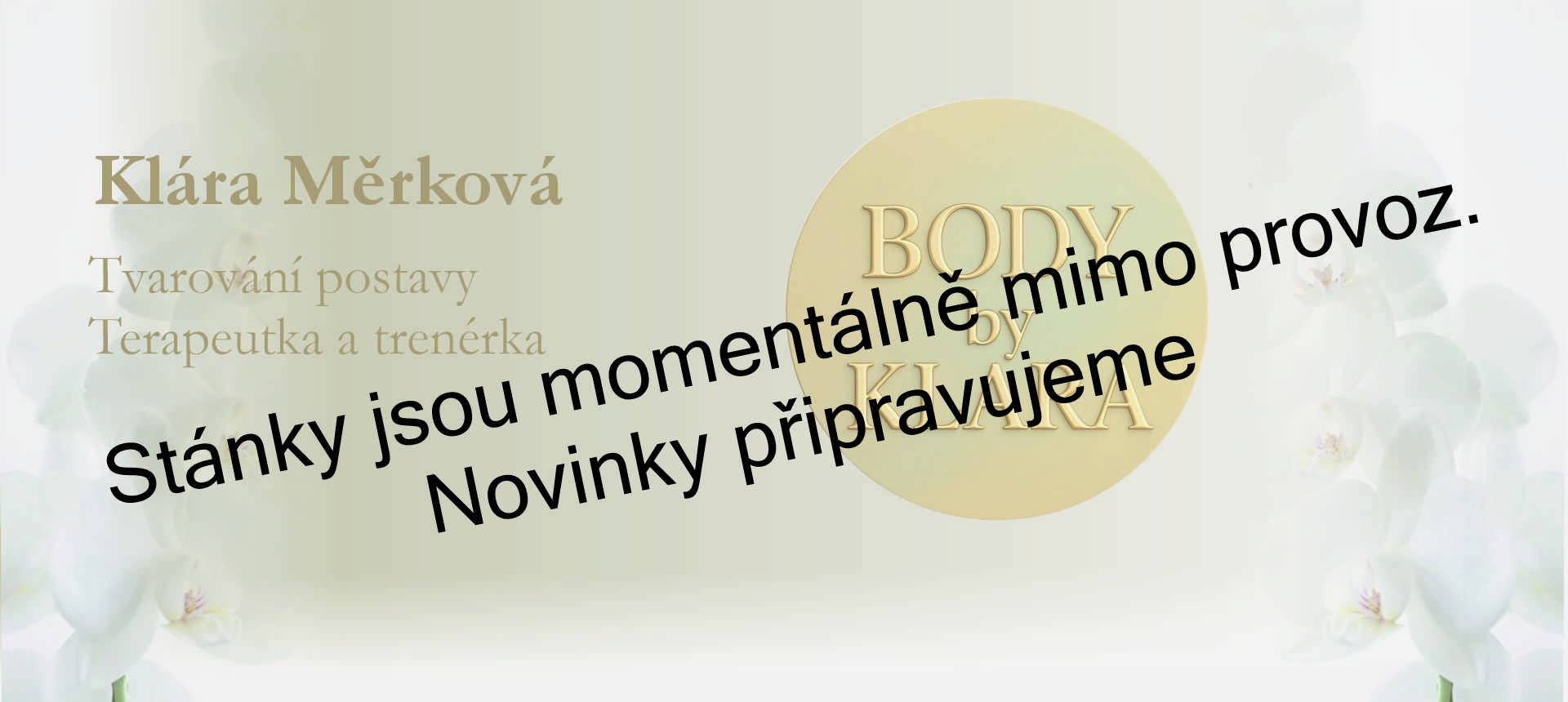 Dočasně mimo provoz