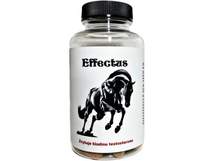 EFFECTUS