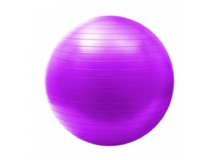 Gymnastický míč HMS YB02 65 cm fialový