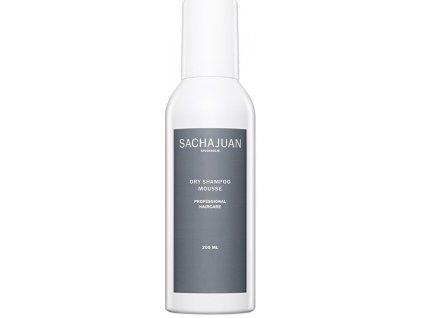 Pěnivý suchý šampon (Dry Shampoo Mousse)