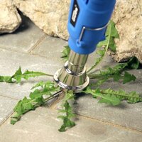 5 tipov, ako sa zbaviť buriny na záhrade bez chémie + BONUS