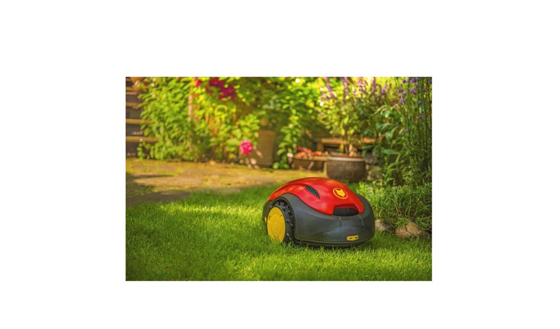 Ako by mala vyzerať oprava trávnika po suchom lete?