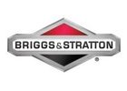 Náhradné diely Briggs&Stratton