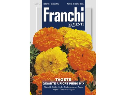 aksamietnica obrovska