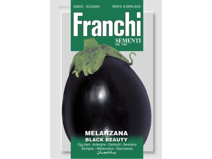 baklazan black beauty