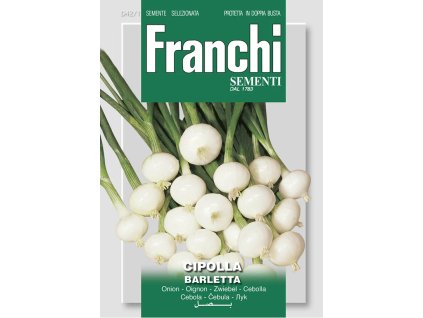 cibula blanca barletta